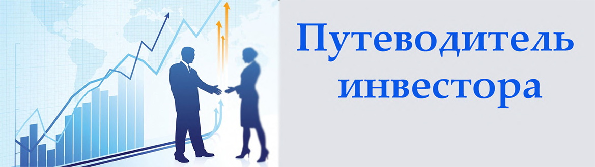 Путиводитель инвестора.